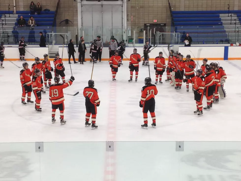Steele County Blades Sweep Weekend Games, 5-2 Over Last Seven