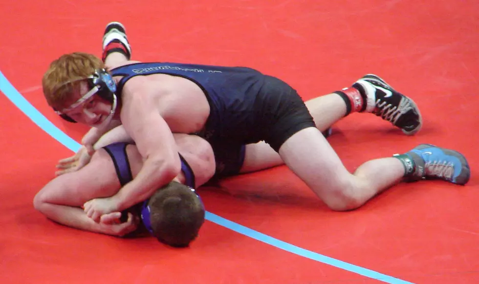 Four Westfield Wrestlers Place at State; Two Tigers Win Medals