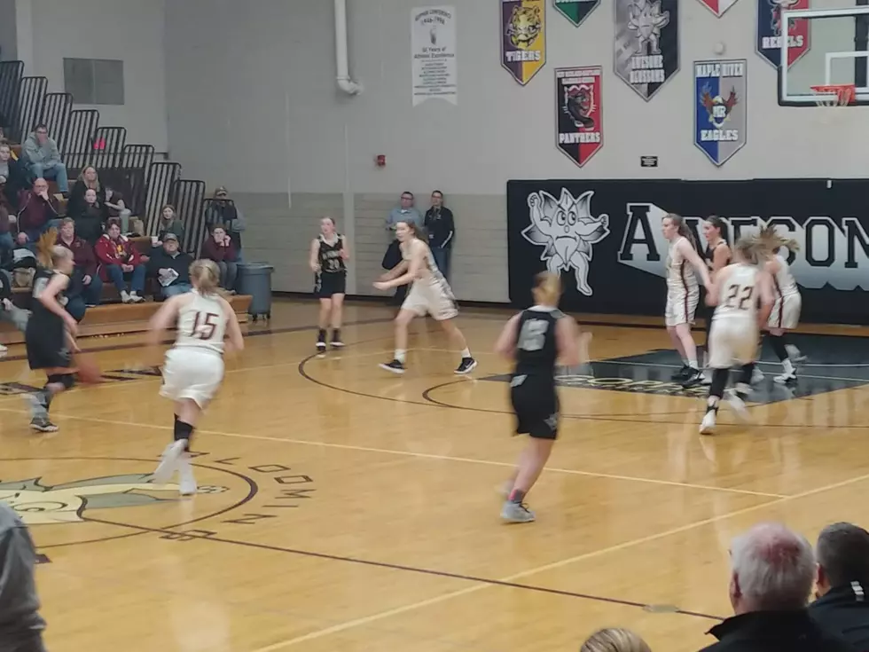 Blooming Prairie Girls Land Home Playoff Opener