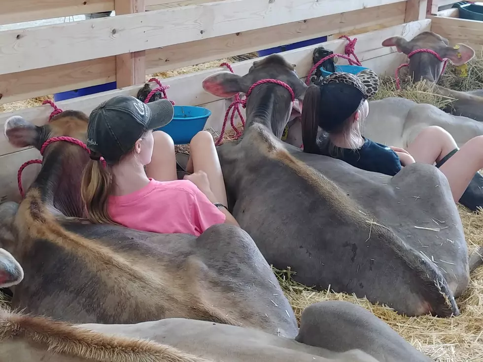 Stormy Start to the Steele County Fair