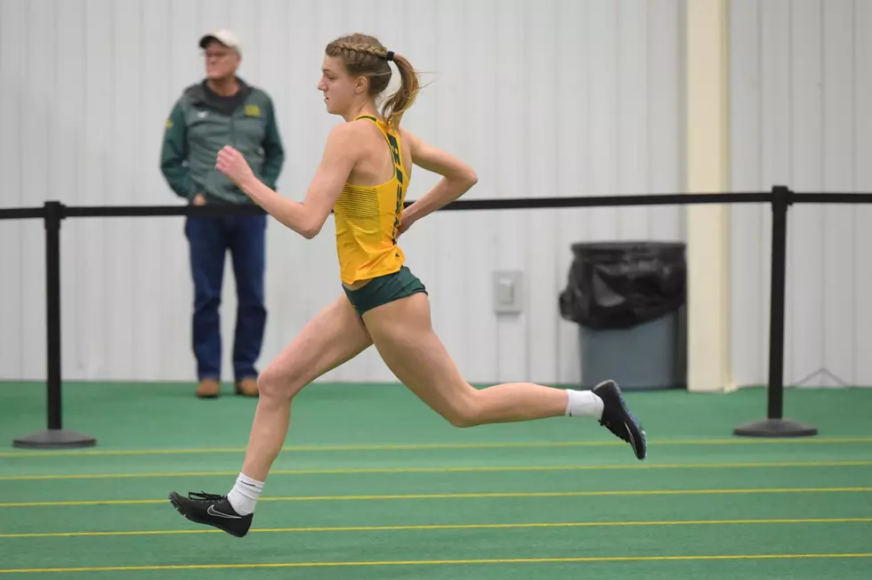 Former Cobra Runs Fast as a Bison