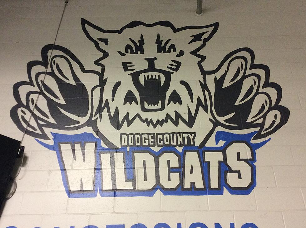 Dodge County Will Play for Hockey Championship Saturday