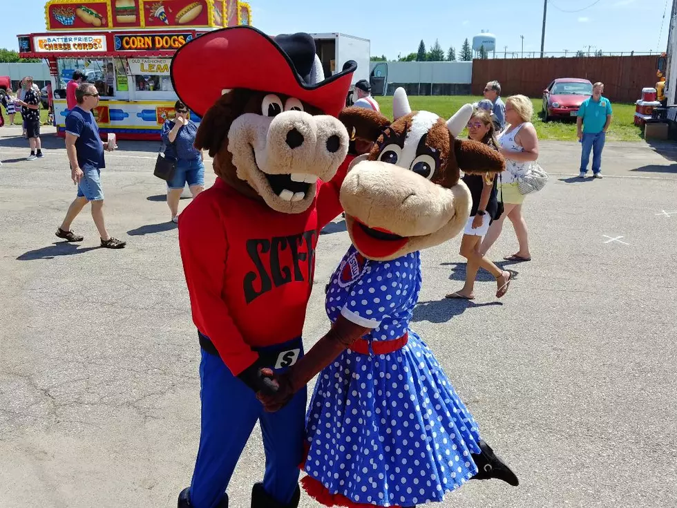 Be a Star at the Steele County Fair