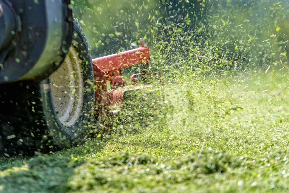 Tips To Properly Winterize Your Lawn Mower For Storage