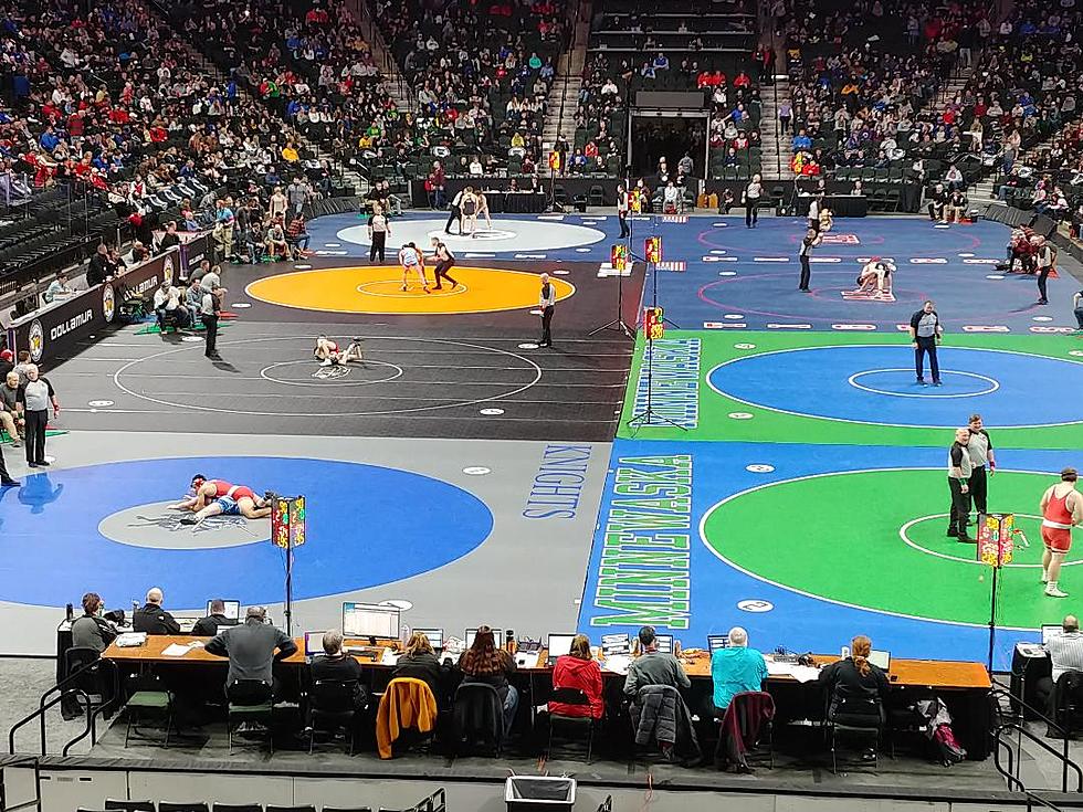Three Titles for Steele County Wrestlers at State Tourney; Seven Others Place