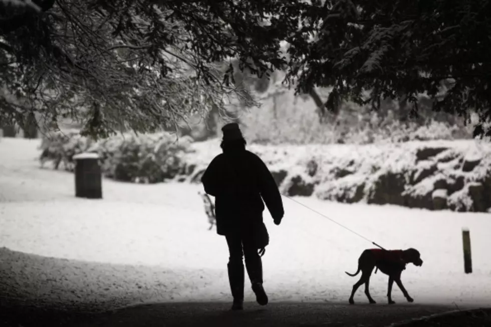 Cold Weather Tips For Your Pets