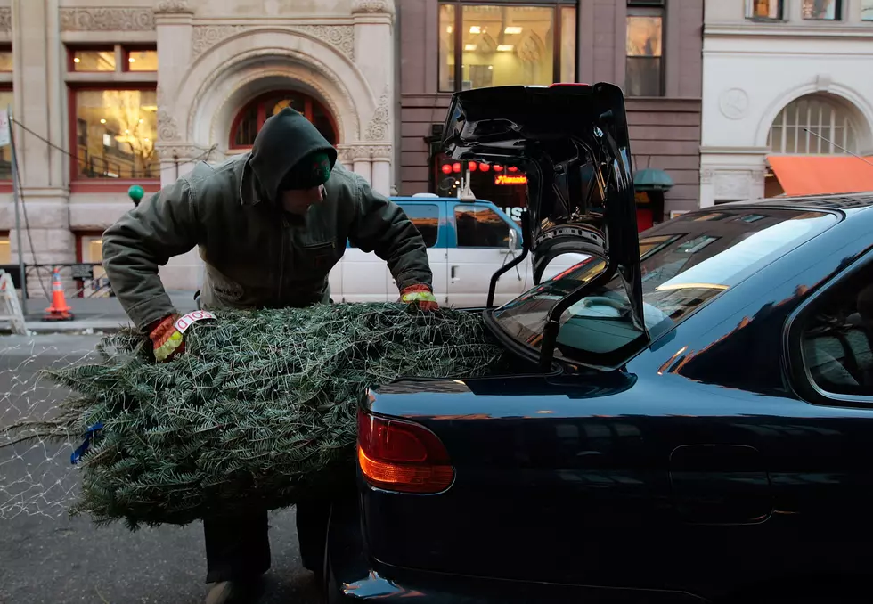 5 Tips For getting Your Christmas Tree Home