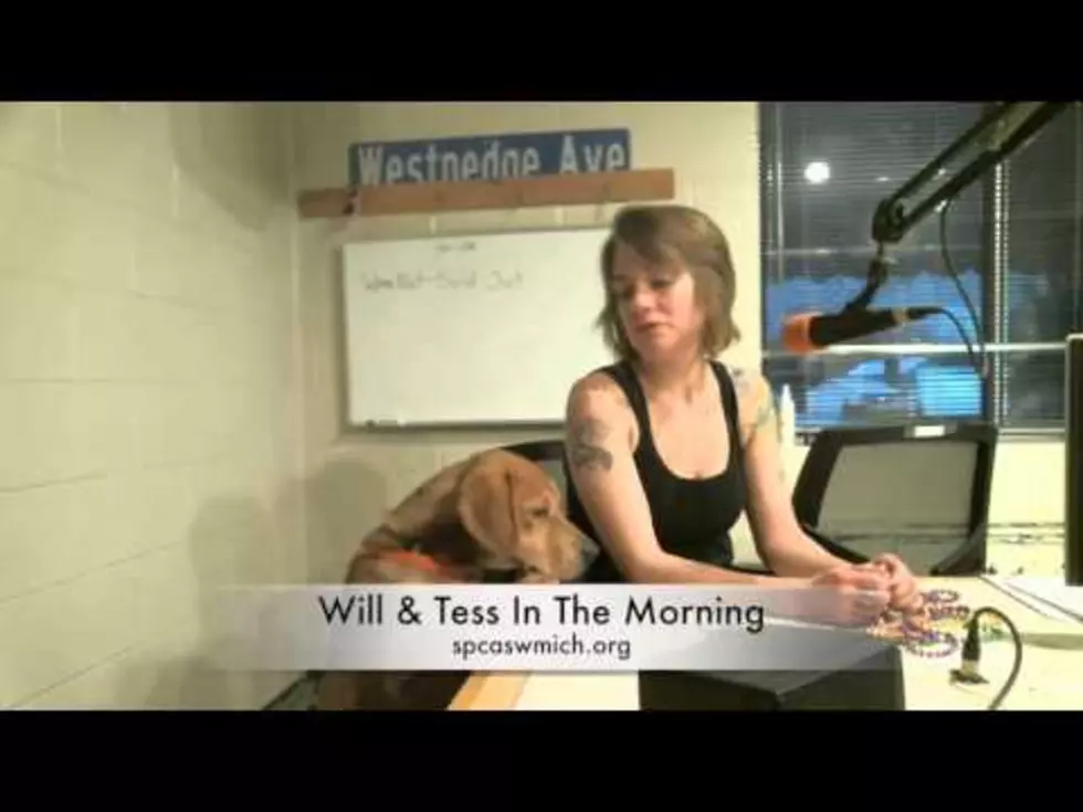 Famous Amos In Studio For The Dog Days
