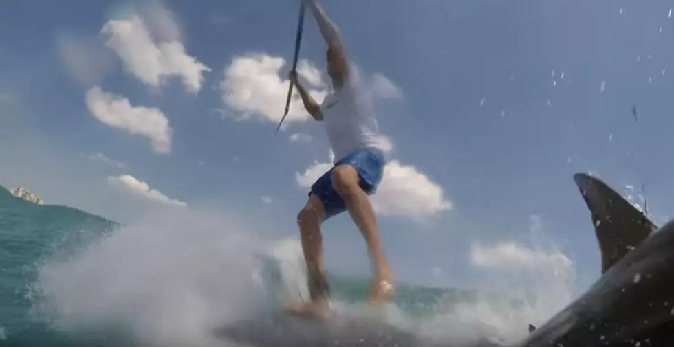 Man Crashes Into Jumping Shark [VIDEO]