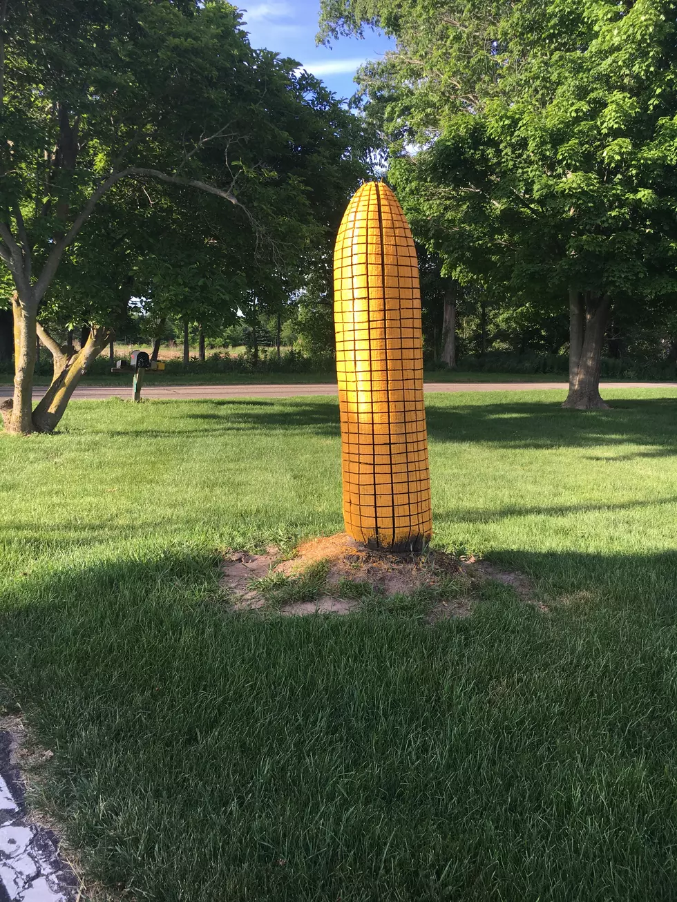 Surprising Things You Drive By in Michigan