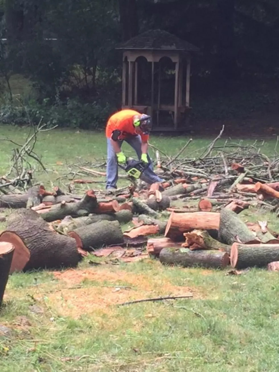 Dana Marshall Using a Chainsaw, What Could Go Wrong?