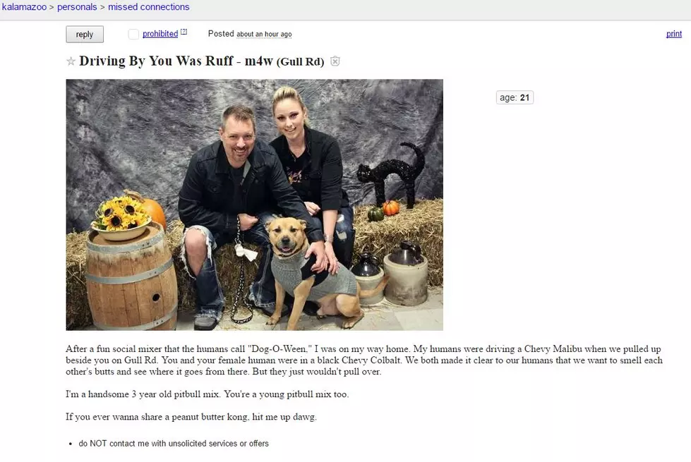 This Craigslist Missed Connection is For the Dogs