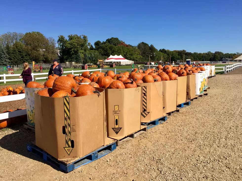 This Farm in Richland Has Everything You Need for Halloween