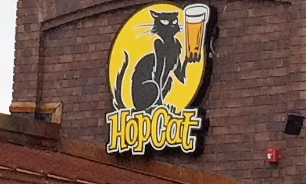 Hop Cat Kalamazoo Opening