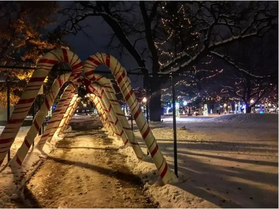 [PHOTOS] Winter Wonderland