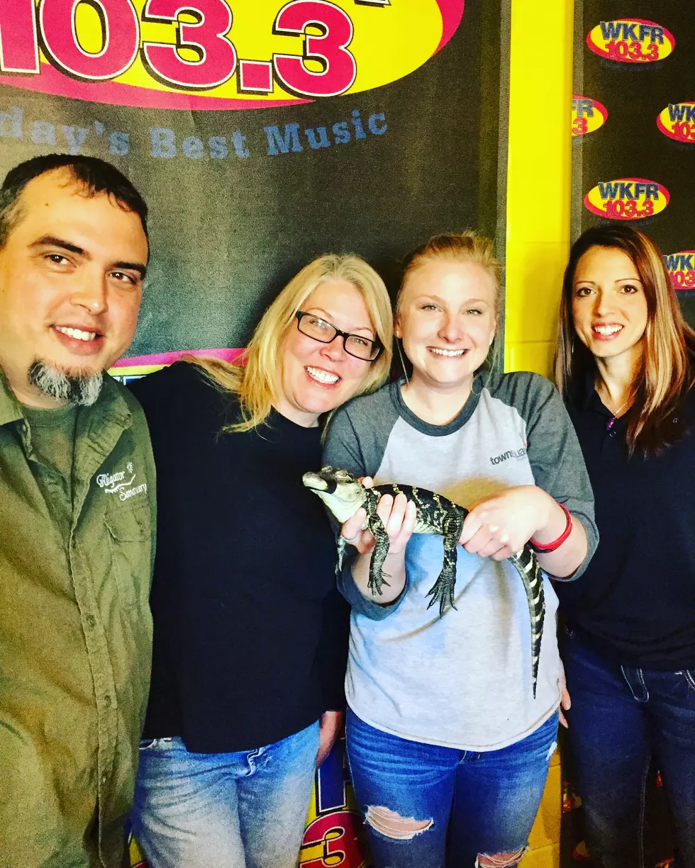 An Alligator Came Into The Morning Show Studio This Morning [VIDEO]
