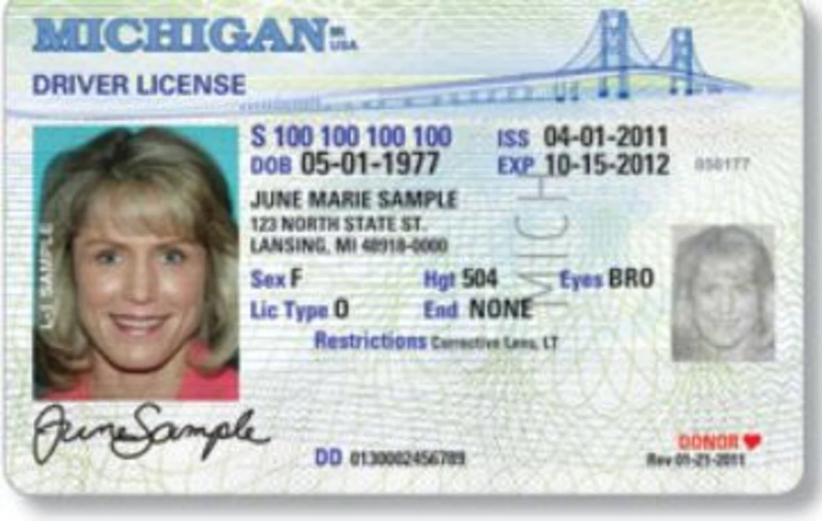 License ended. Michigan Driver License. Driver License mi. Michigan ID Card. Michigan Driver License scan.