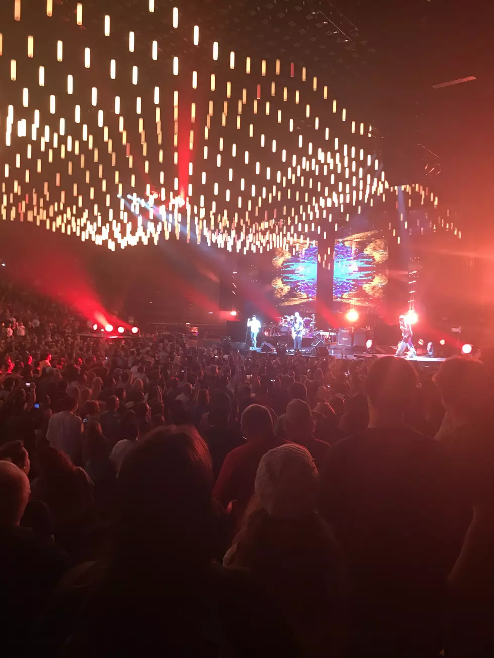 A Heartbreaking Red Hot Chili Peppers Show In Grand Rapids