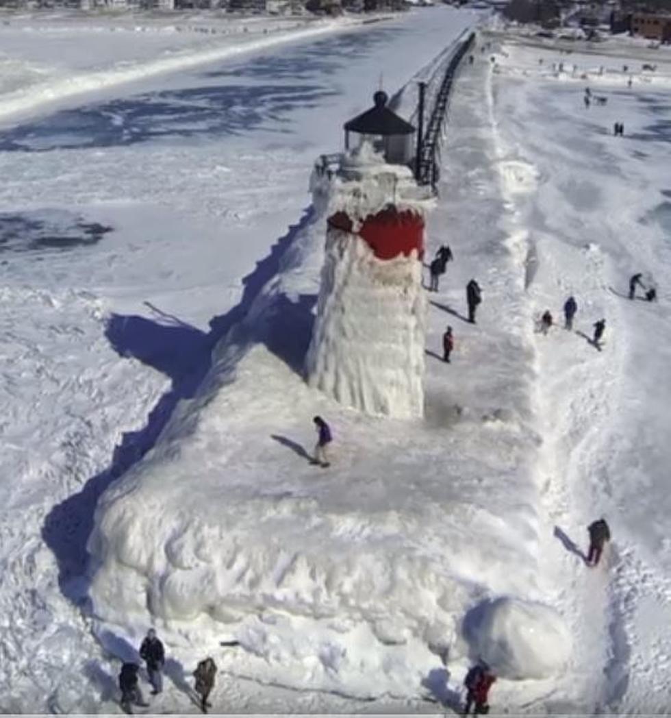 5 Unusual Things You Can See In South Haven