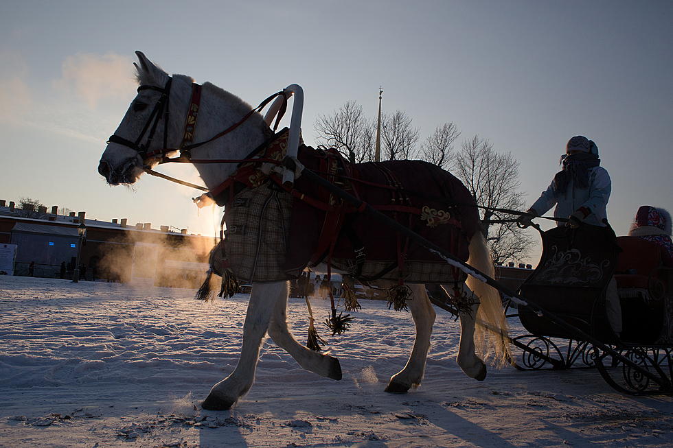 Enjoy A Classic West Michigan Sleigh Ride