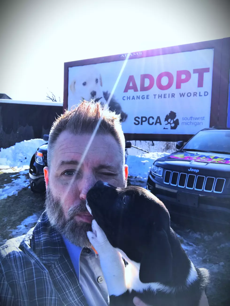 What's Going On With The SPCA of Southwest Michigan?