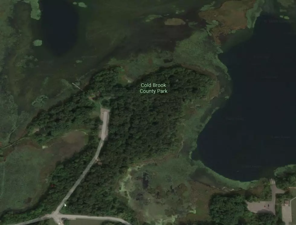 Google Maps
