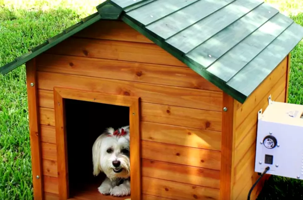 Michigan Restaurants Install Air-conditioned Dog Houses