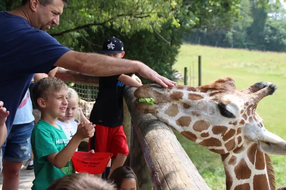 Celebrate Father's Day on the Savannah at Binder Park Zoo