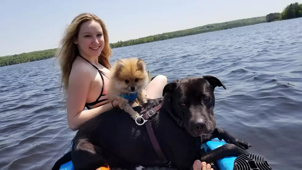 Michigan Dogs in Kayaks