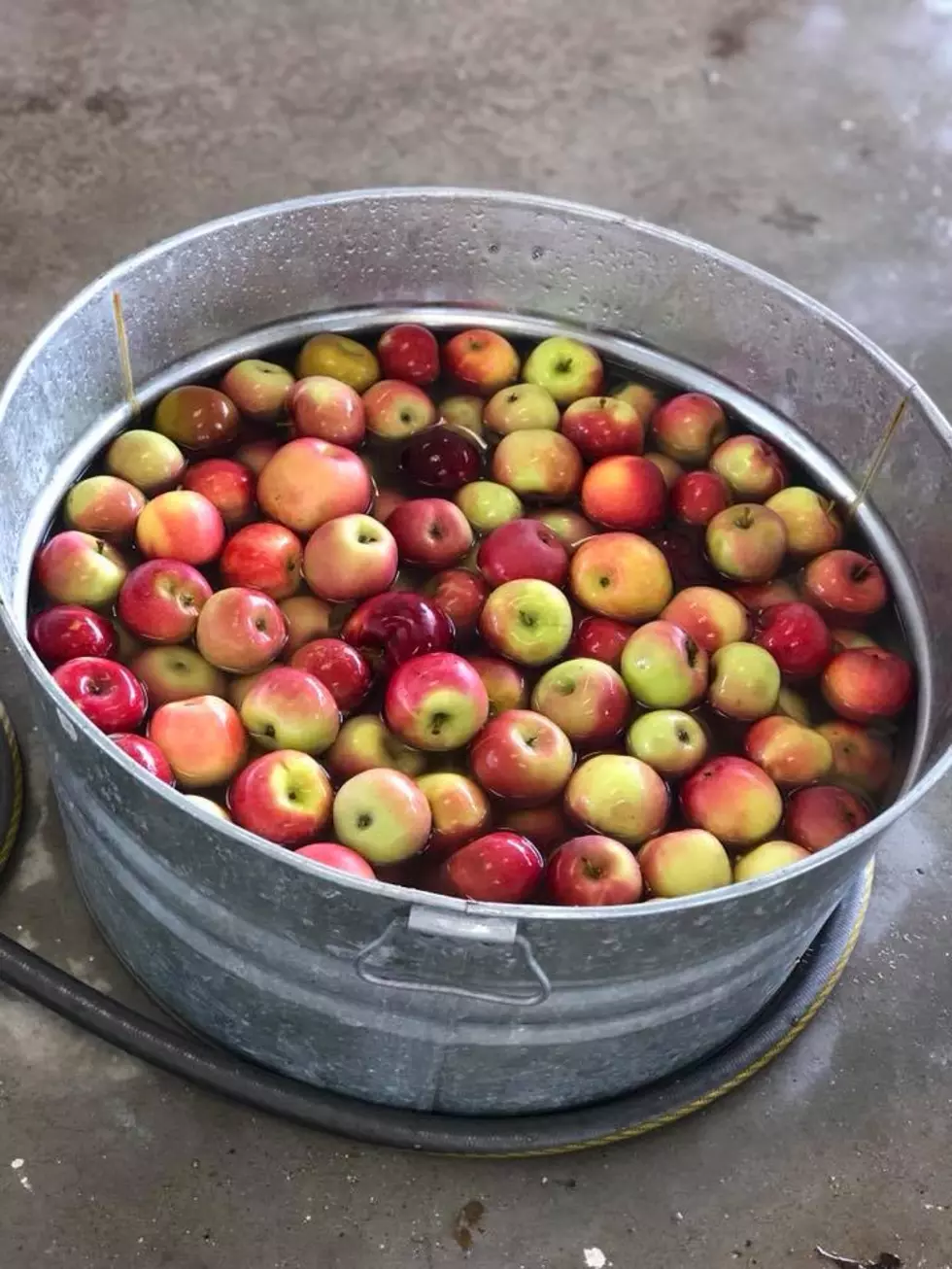 Things I Learned Making Apple Cider For The First Time