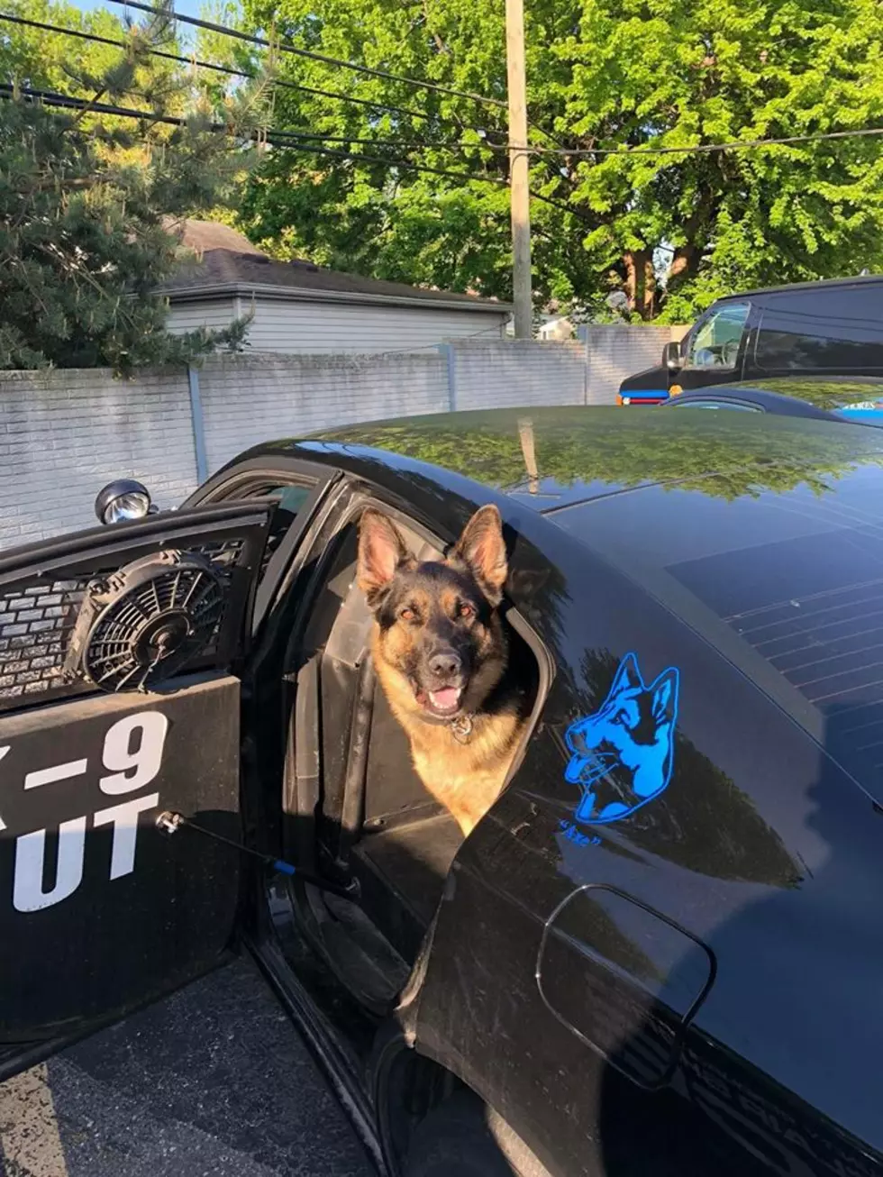 Michigan Loses Another K-9 Officer