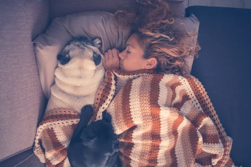 5 Reasons You Should Sleep With Your Dog