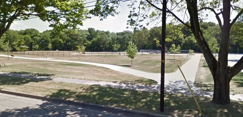 Fairmount Dog Park Is Now Free To Use