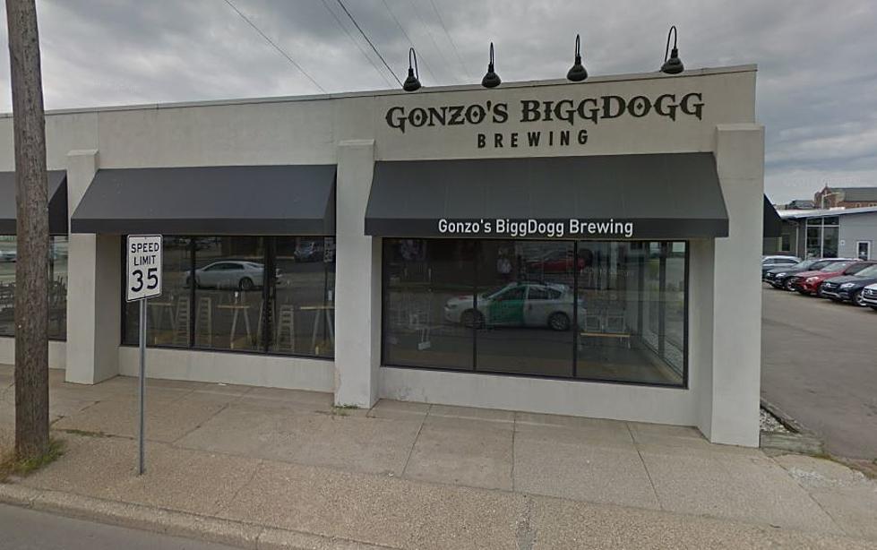 Saugatuck Brewing ‘Merges’ With Gonzo’s Bigg Dogg Brewing