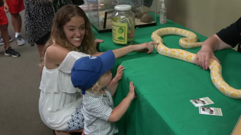 Reptile Weekend Returns To Binder Park Zoo