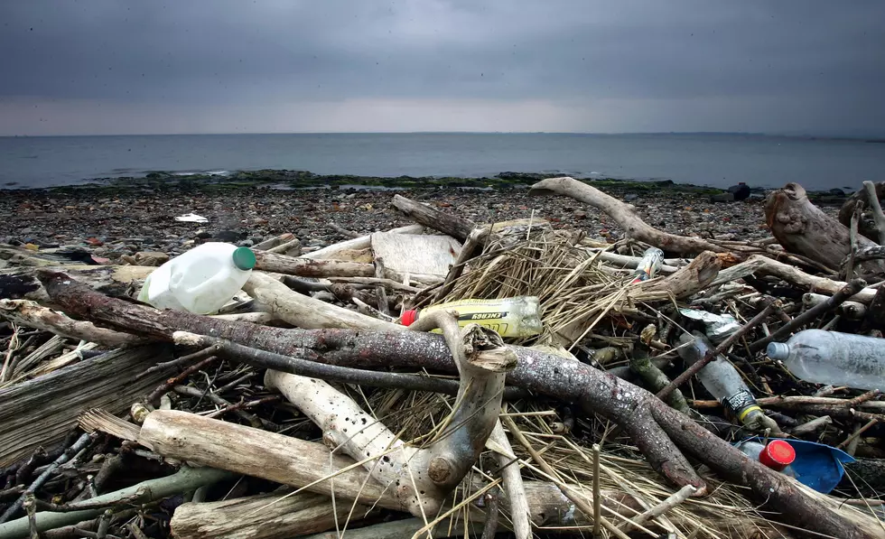 Michigan State Students Have A Plan To Save Our Oceans