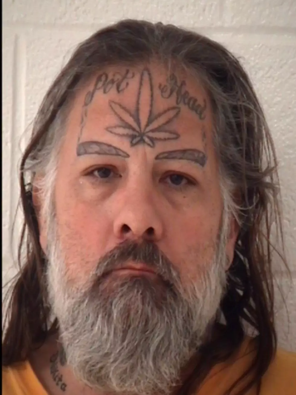 Ohio Police Are Looking For This Actual Pothead