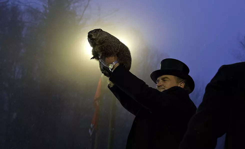 Giant Groundhog Seen Walking Around Michigan On Groundhog&#8217;s Day