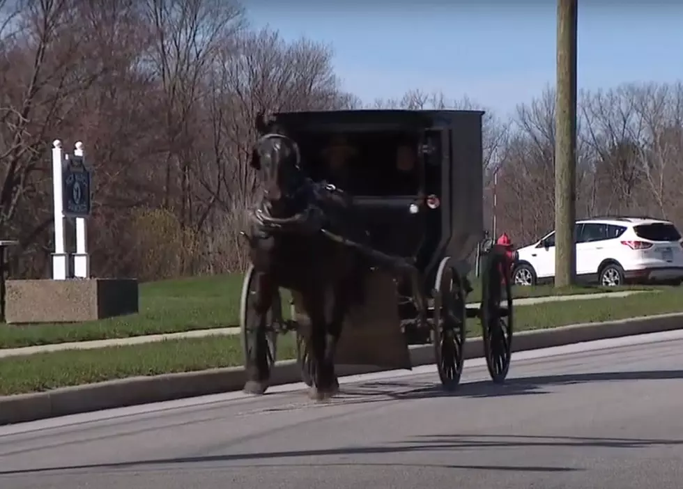 Ohio Police Bust Large Drunken Amish Party