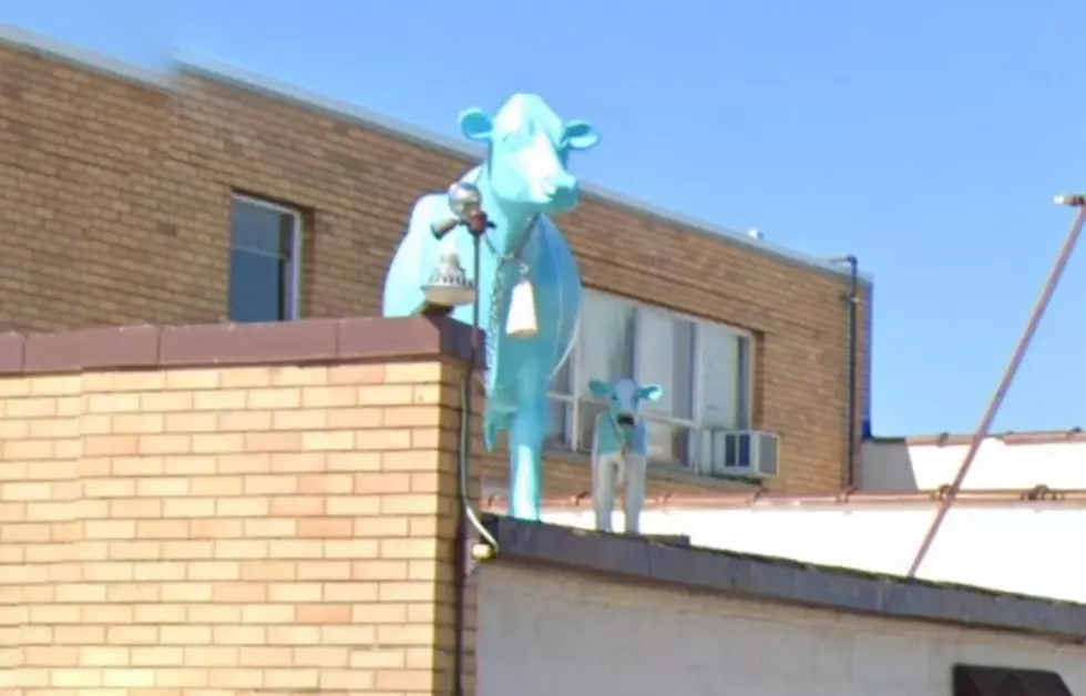 Update: Two Missing Sherman’s Ice Cream Blue Cows Are Safe