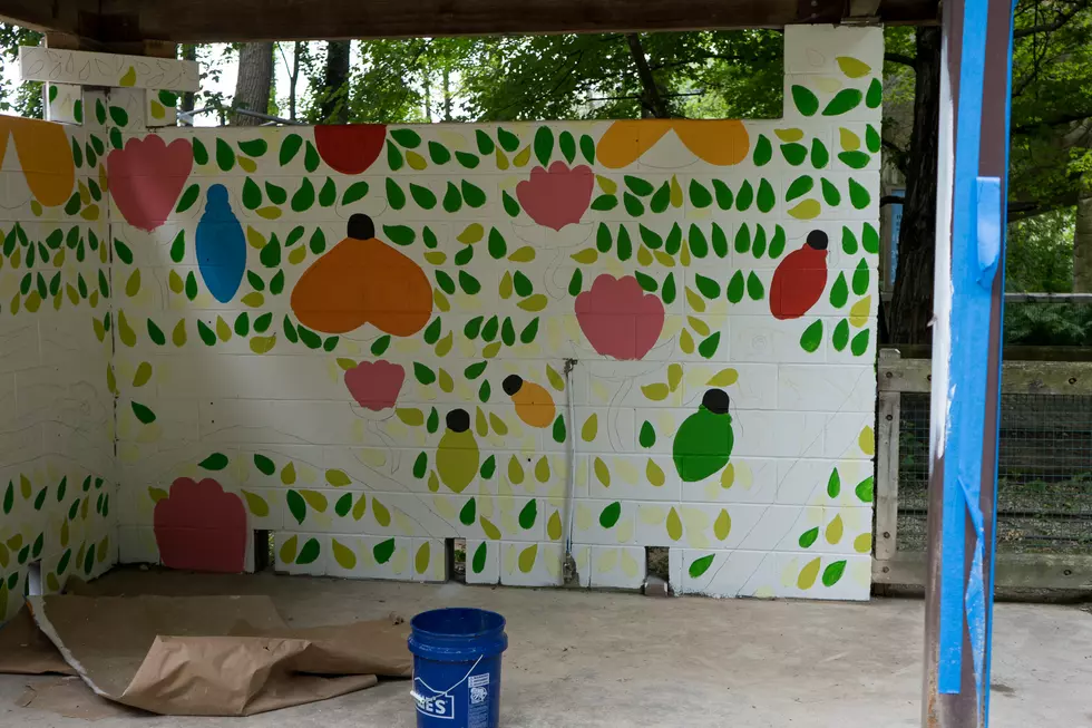 Binder Park Zoo Unveils Mural Art In Children's Zoo