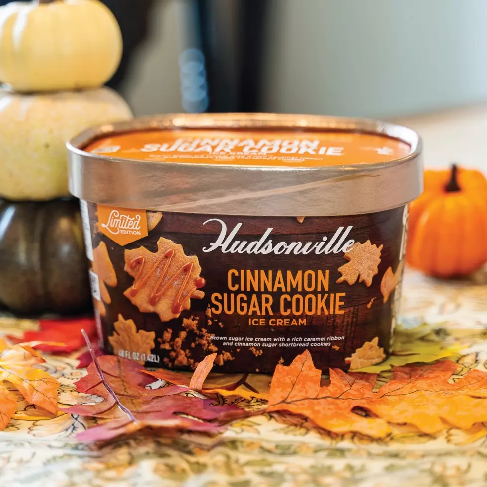 Hudsonville Ice Cream Just Unveiled New Flavor: The Perfect Fall Treat