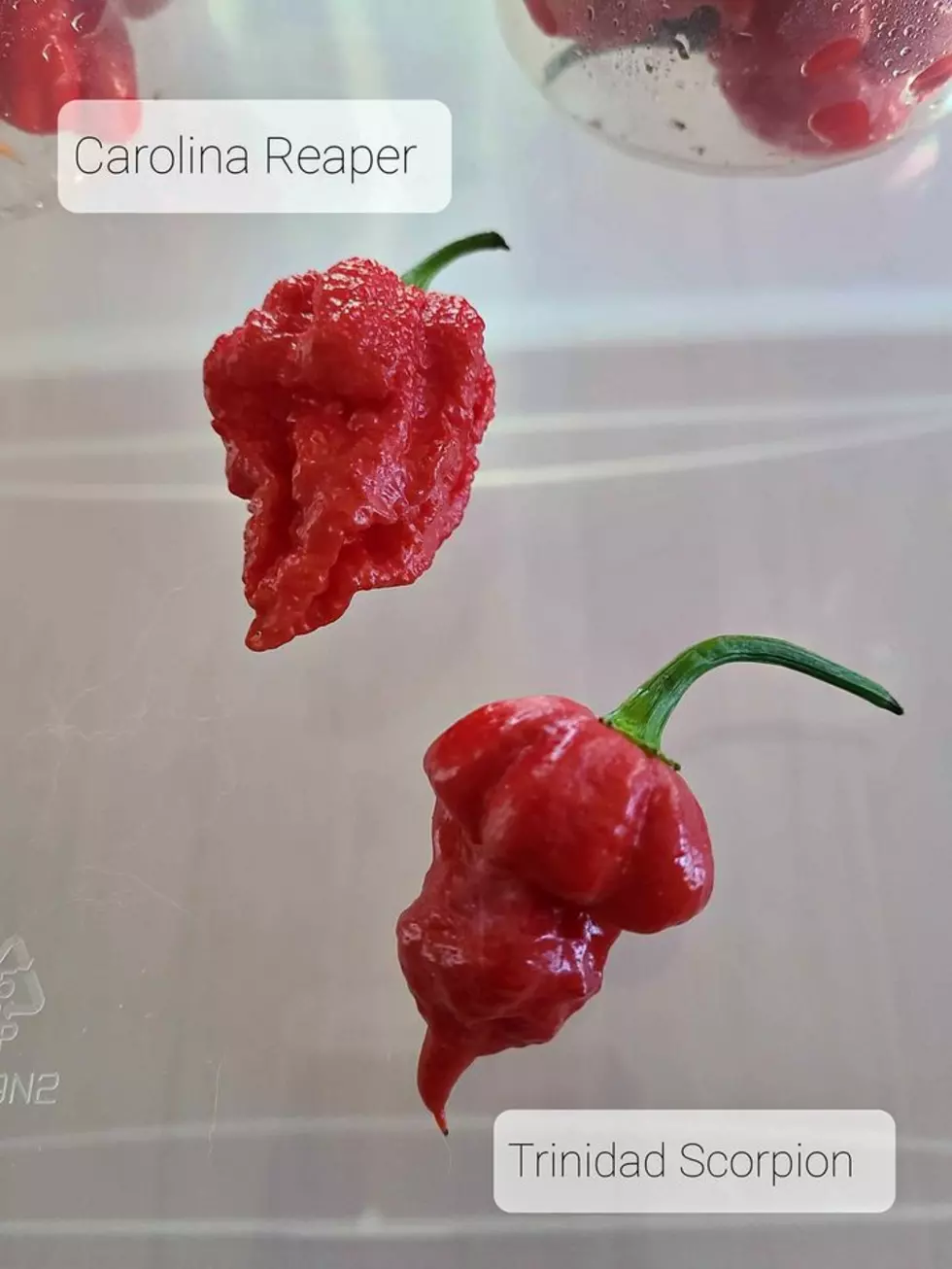 Facebook Marketplace