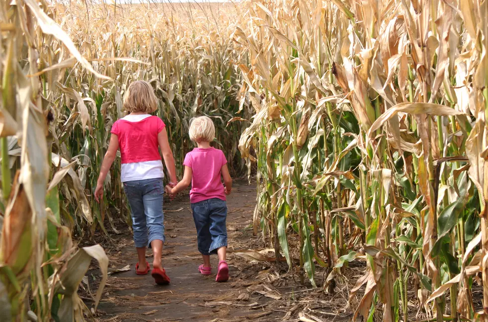 A Message of Hope Written in Corn