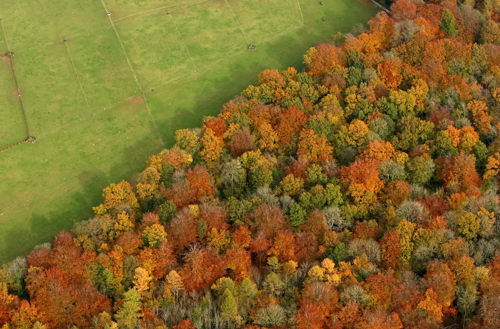 Allegan Helicopter Tours Offering An Aerial View of Fall Colors