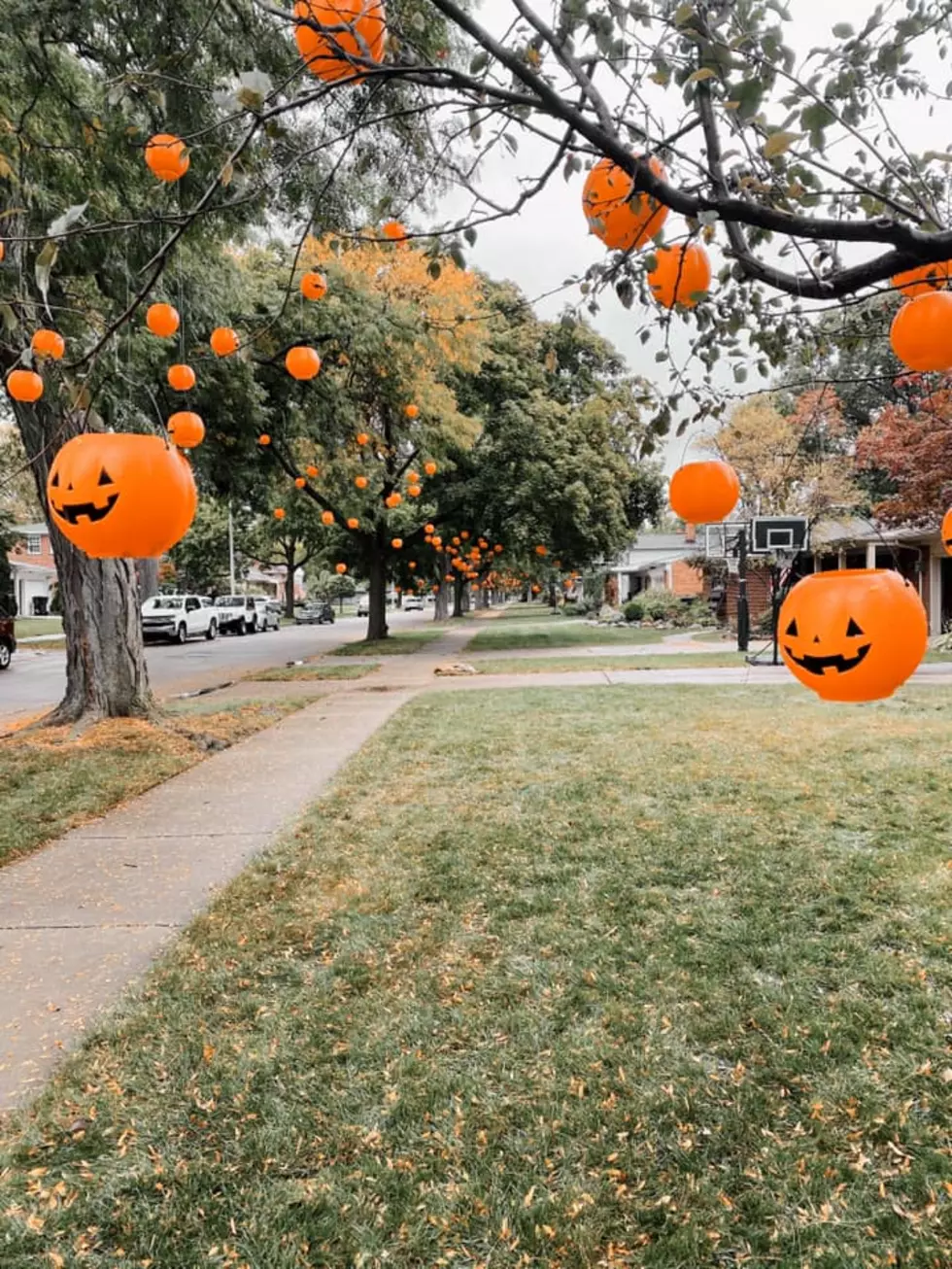 This Michigan City Turned Trees Into An Enchanted Pumpkin Path