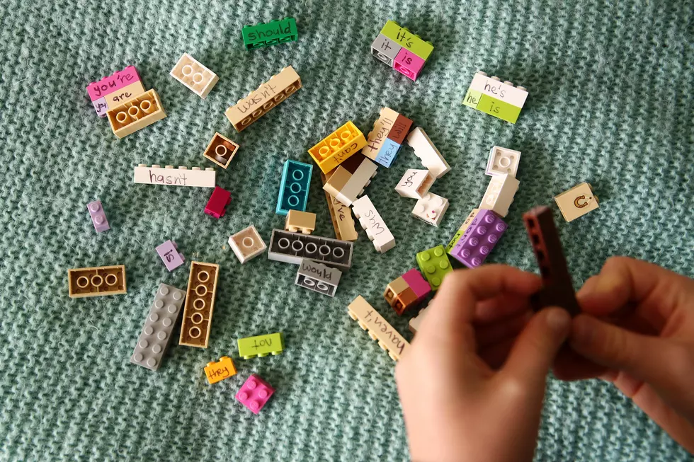 Michigan Resident Recreates U of M with 30,000 Legos