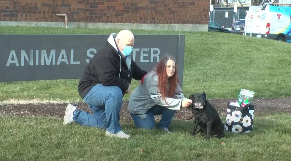 Kalamazoo Couple Reunited with Dog After Searching for 3 Years