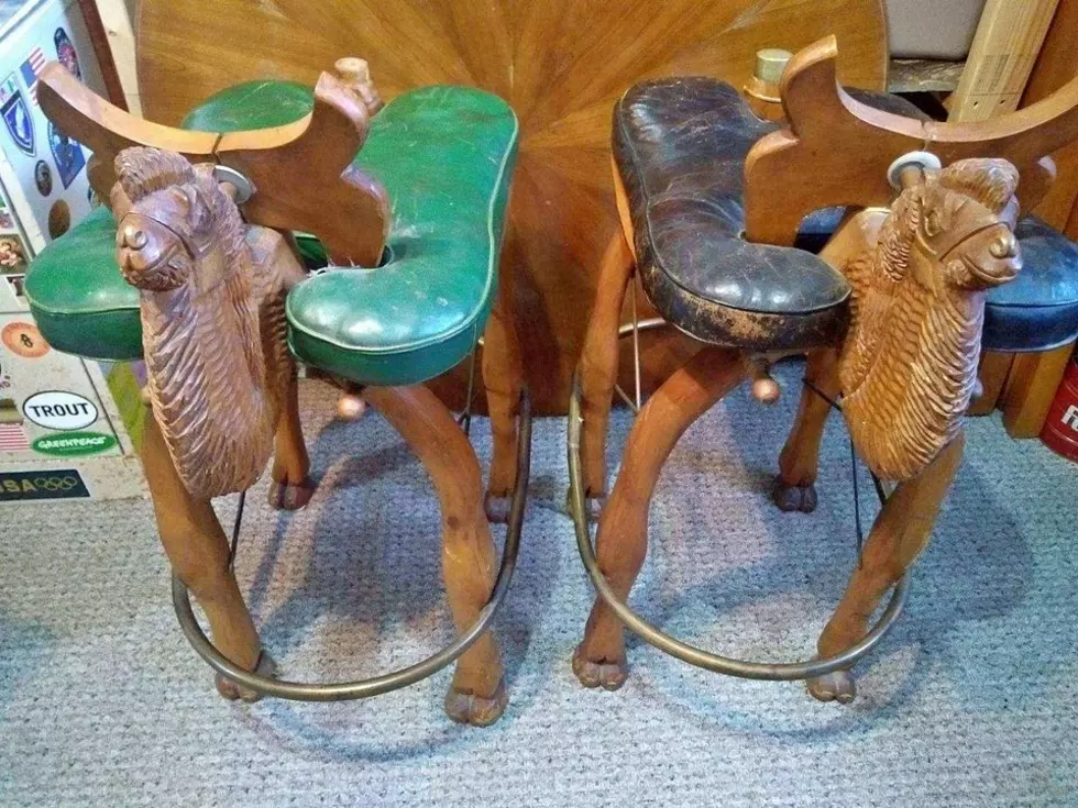 These Ridiculous Camels Stools You Need To Own Are On Sale In Michigan