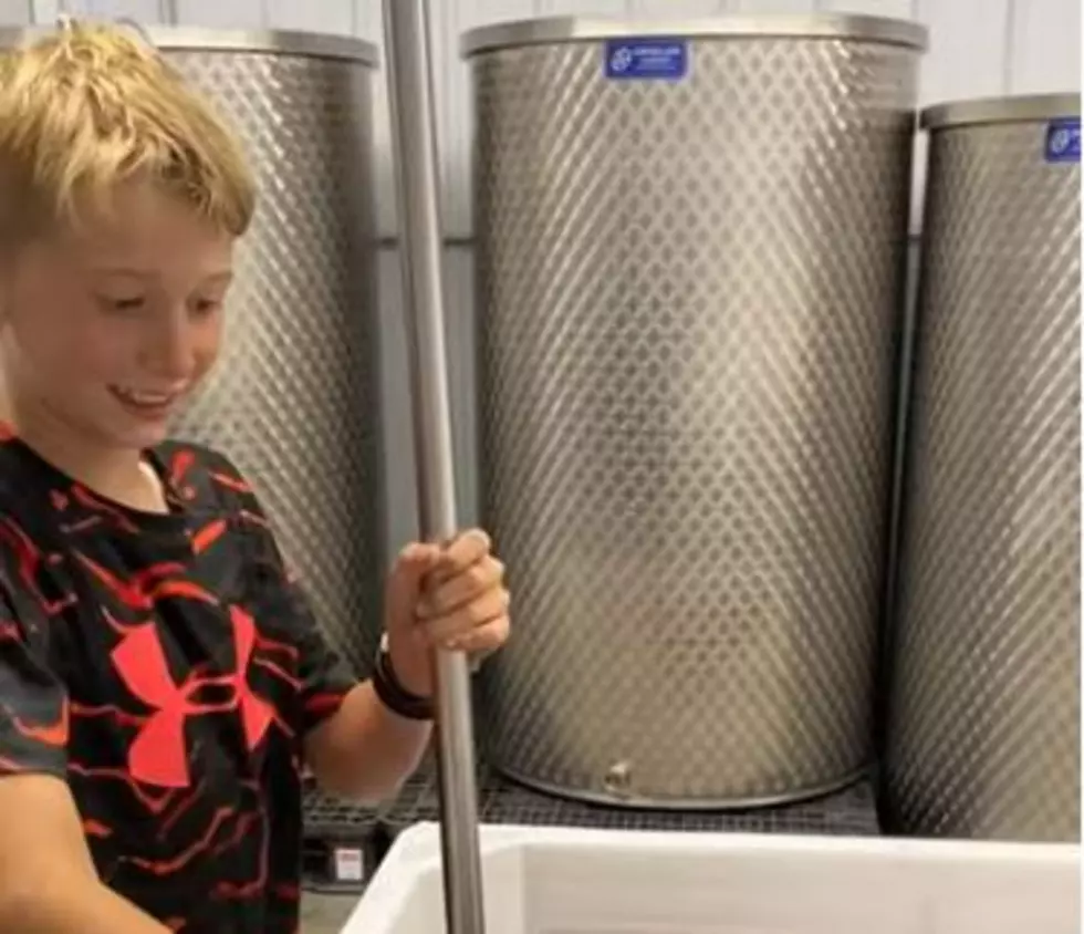 Michigan&#8217;s Youngblood Winery May Have Youngest Wine Maker Ever